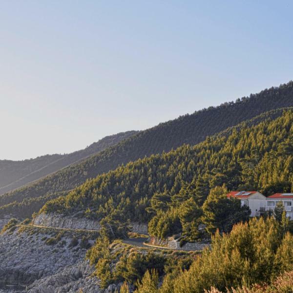 Villa Victor Babino Polje Экстерьер фото
